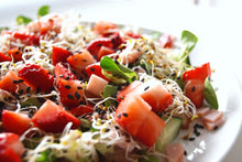 Load image into Gallery viewer, The Ultimate Salad Recipe Collection
